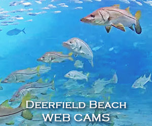 Deerfield Beach Pier Underwater WebCam